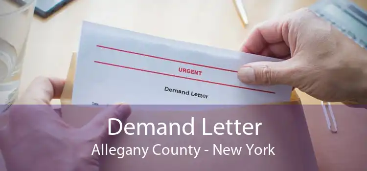 Demand Letter Allegany County - New York