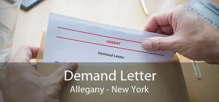 Demand Letter Allegany - New York