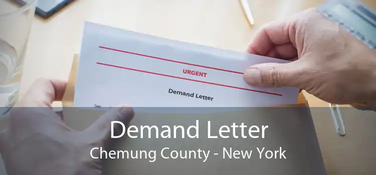 Demand Letter Chemung County - New York