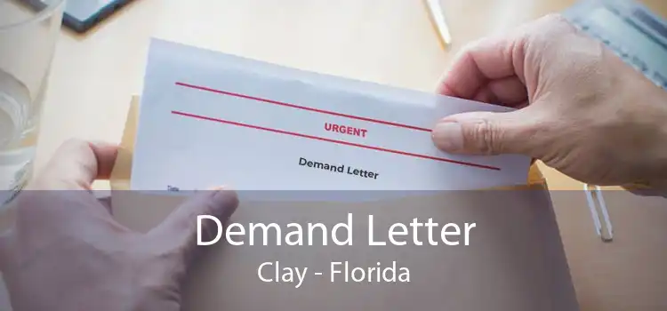 Demand Letter Clay - Florida