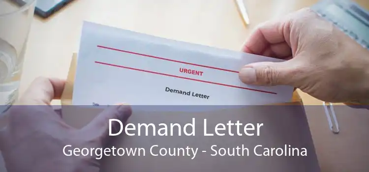 Demand Letter Georgetown County - South Carolina