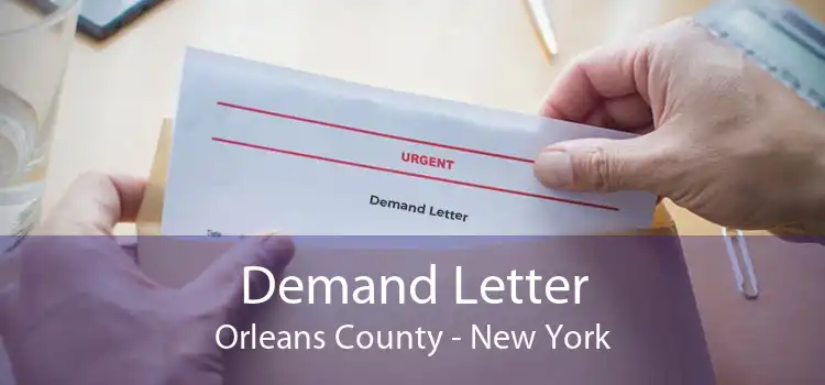 Demand Letter Orleans County - New York