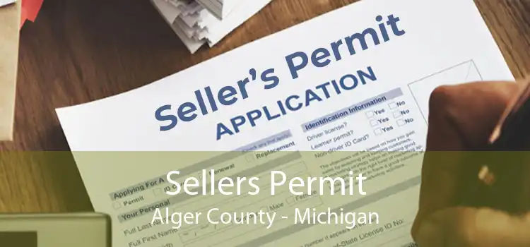 Sellers Permit Alger County - Michigan