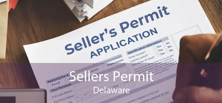 Sellers Permit Delaware