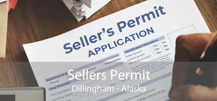 Sellers Permit Dillingham - Alaska