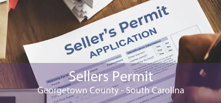 Sellers Permit Georgetown County - South Carolina