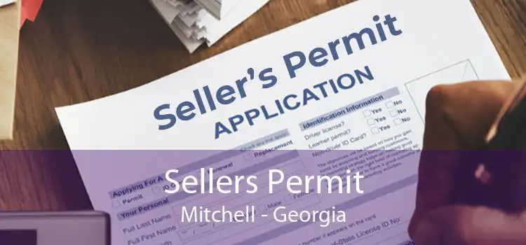 Sellers Permit Mitchell - Georgia