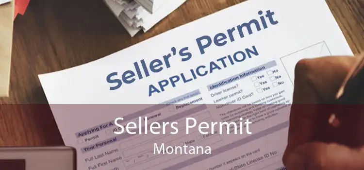 Sellers Permit Montana