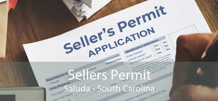 Sellers Permit Saluda - South Carolina